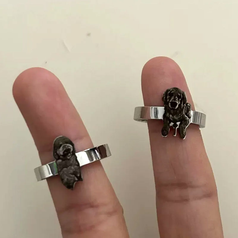 🐾Gepersonaliseerde roestvrijstalen fotograveerring met open ring💍
